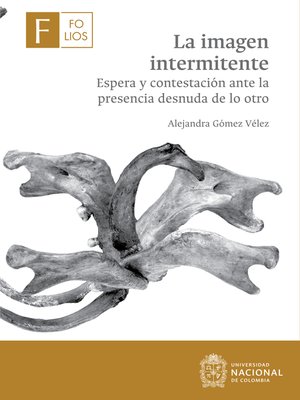 cover image of La imagen intermitente